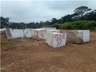Uige Grey Marble Blocks With Veins
