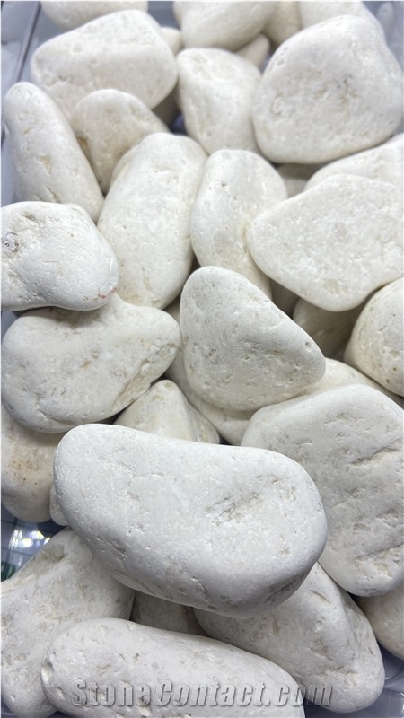 Dalmatian Cream Limestone Pebble Stones