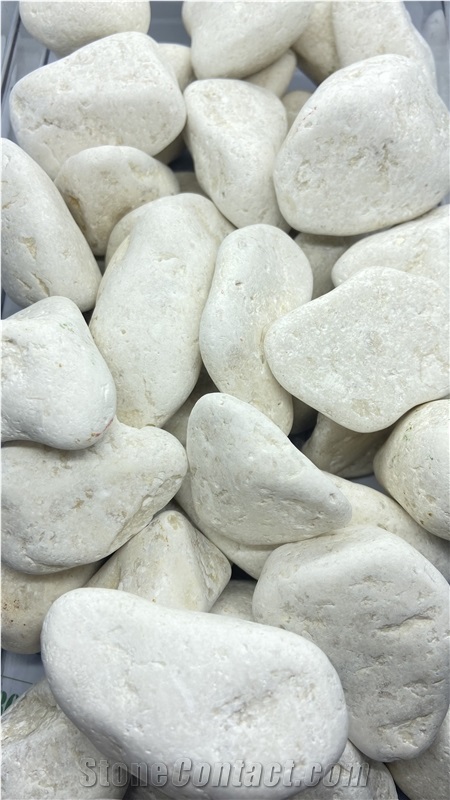 Dalmatian Cream Limestone Pebble Stones