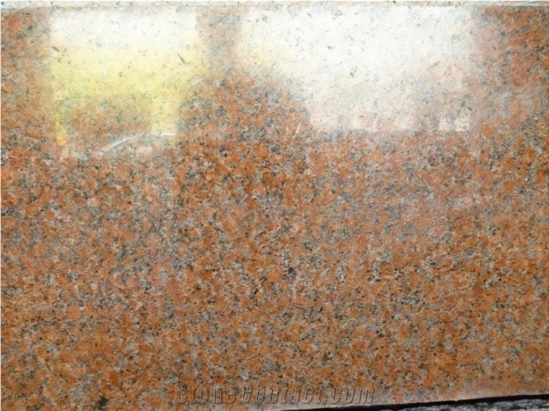 Premium G562 Maple Red Natural Granite Slabs