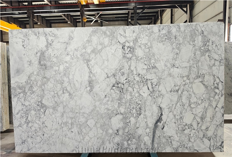 Calacatta Grey Quartzite Slabs