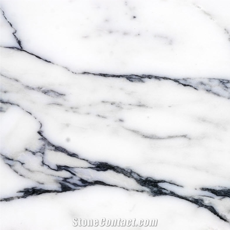 Arabescato Meraviglioso Marble importance=