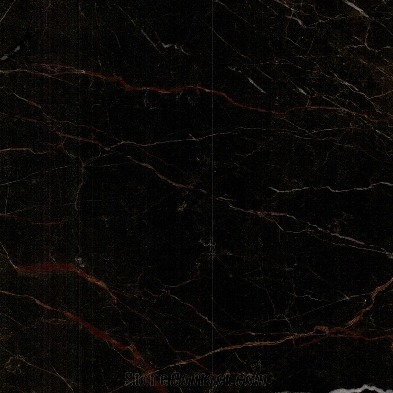 Black Golden Jade Marble importance=