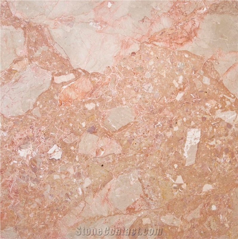 Breccia Pernice Chiara Marble importance=