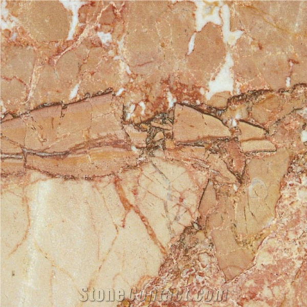 Breccia Pernice Chiara Marble Tile