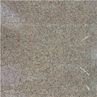 China Desert Brown Granite Tile