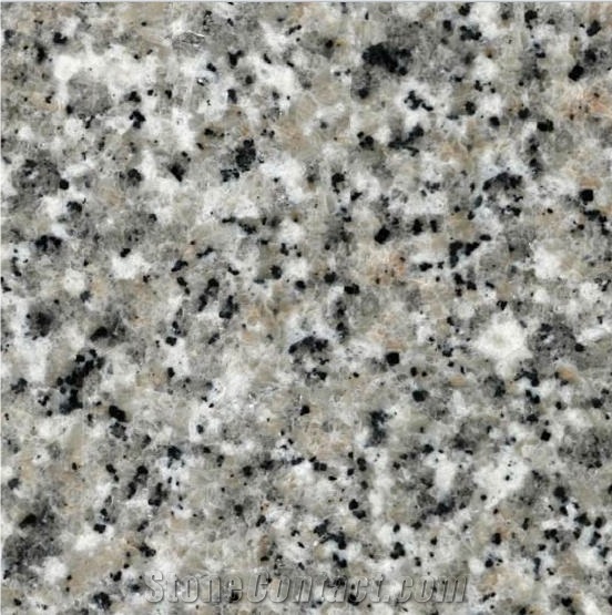 Grigio Sardegna Granite Tile