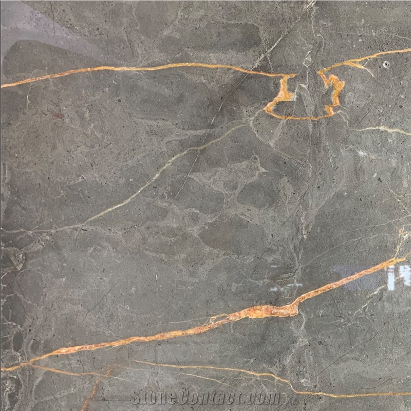 Hermes Gold Marble Tile