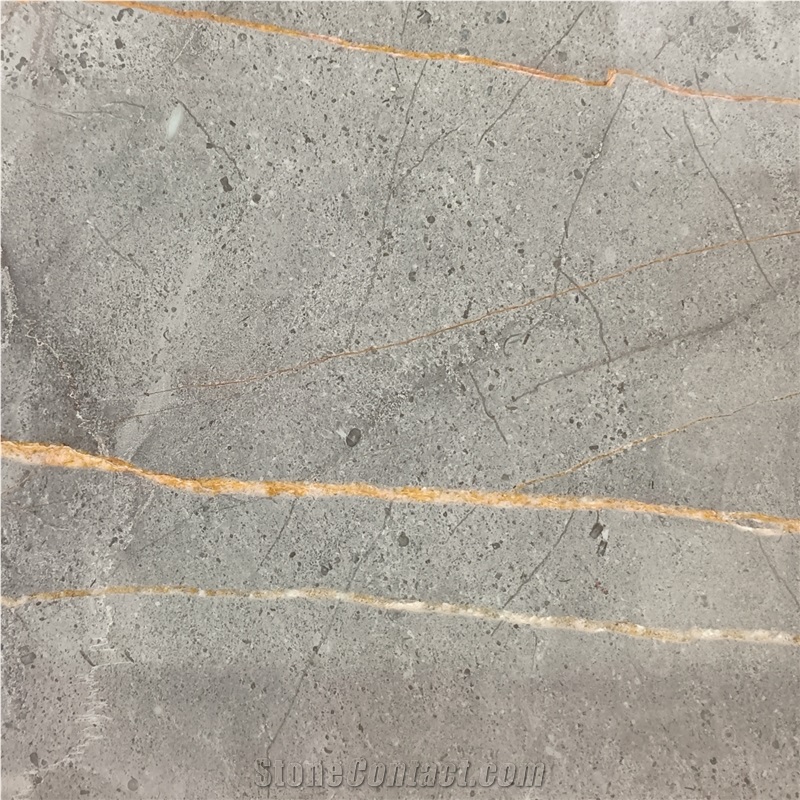 Hermes Gold Marble Tile