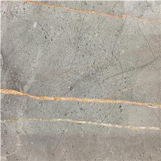 Hermes Gold Marble Tile