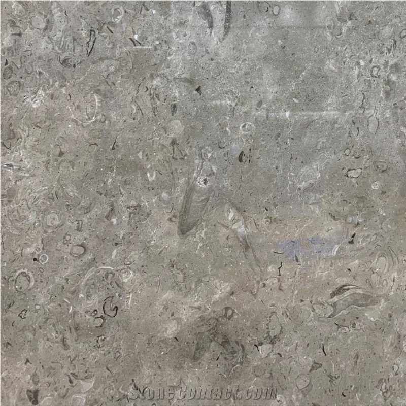 Lipica Fiorito Limestone Tile