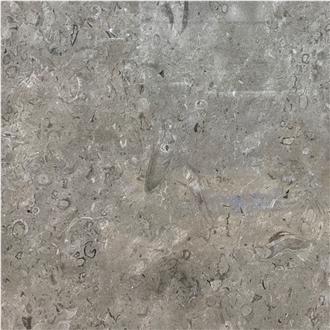 Lipica Fiorito Limestone Tile
