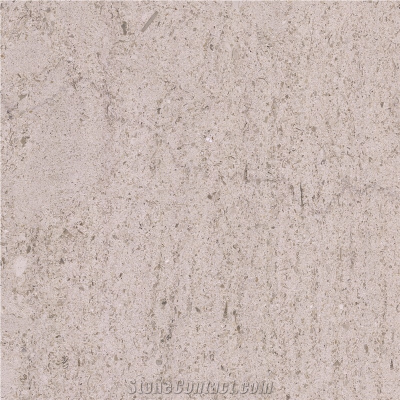 Moca Creme Fina Limestone Tile