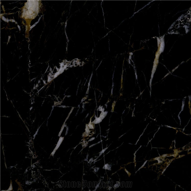 Noir Azilal Marble importance=