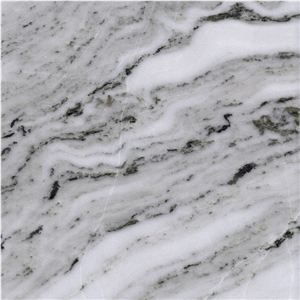 Pasha Calacatta Marble