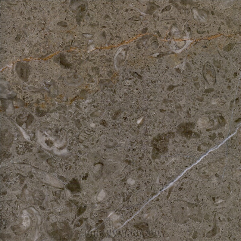Scottish Gray Marble importance=