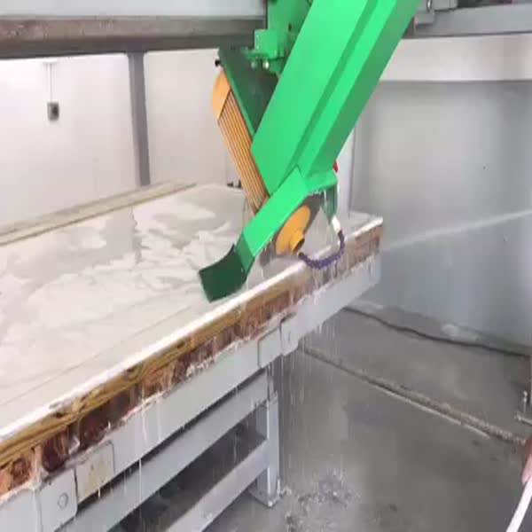 WSD500 countertop bridge saw for workshop