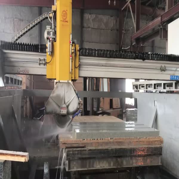Wanlong PLC 400/600 Laser Bridge Cutting Machine Monoblock Saw Machine