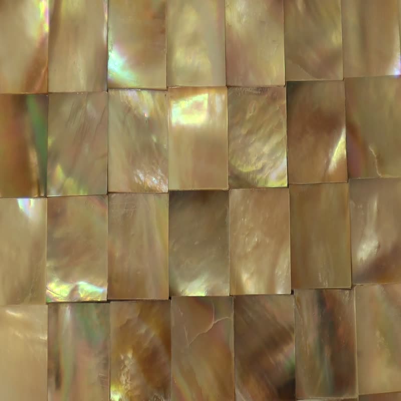 Brown Pearl Sea Shell Iridescence Tiles Decoration Material
