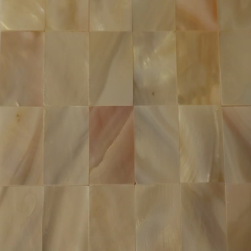 China White Natural Mother Of Pearl Shell Mosaic Tile Decor