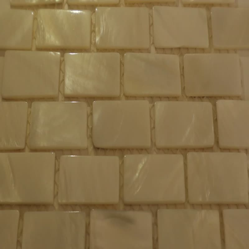Natural River Shell Made in Mosaic Art Tiles for Living Room