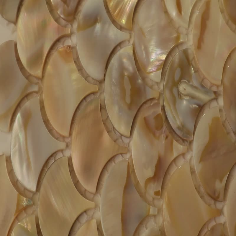 Oil Flower Fan-Shaped Fish Scale Shell Mosaic Brick Pieces