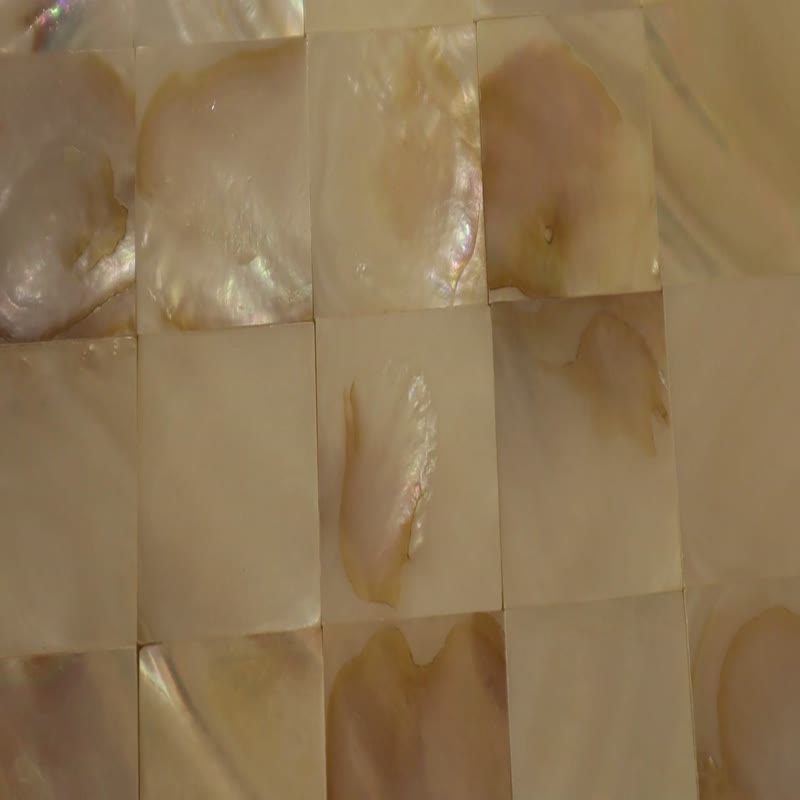 Whiteoil Flower Seamless Mother Of Pearl Tile Shell Mosaic