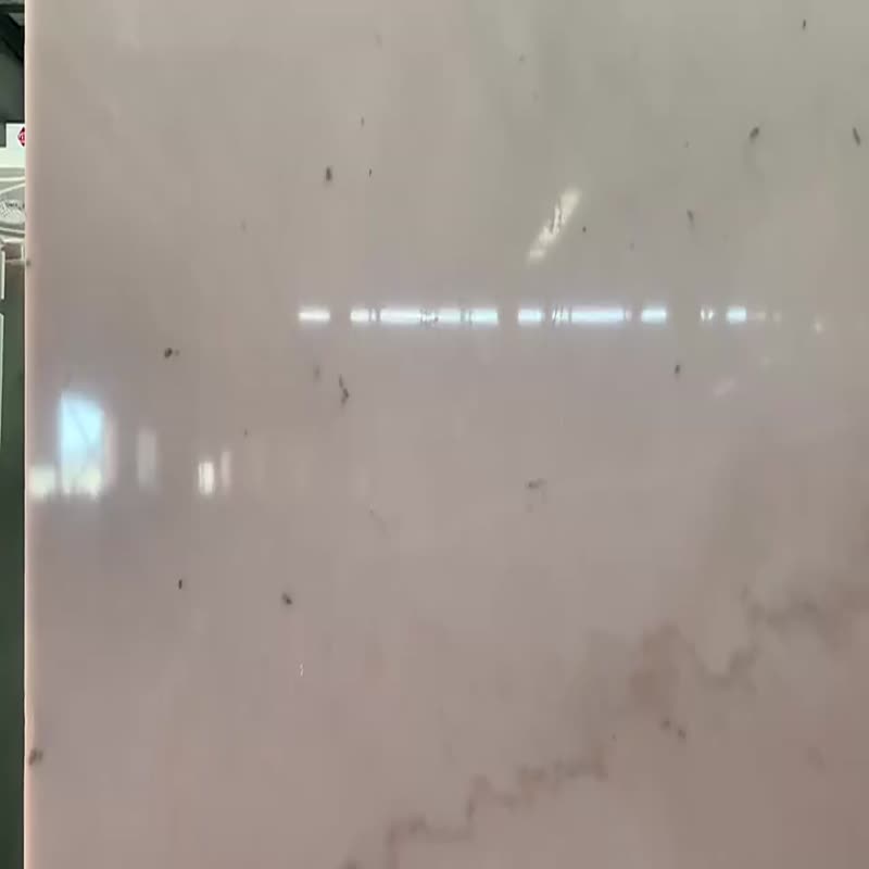 China Bianco Guangxi White Marble With Grey Veins Slabs