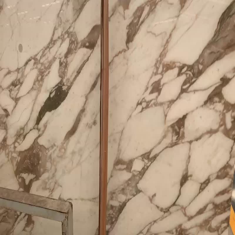 Italy Luxury Calacatta Oro Extra Vagli Marble Wall Panel