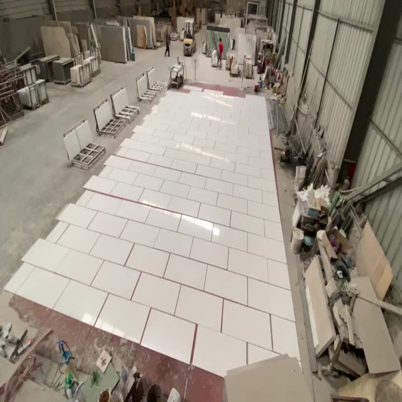 Clean With Light Veins Polaris Sivec White Marble Tiles