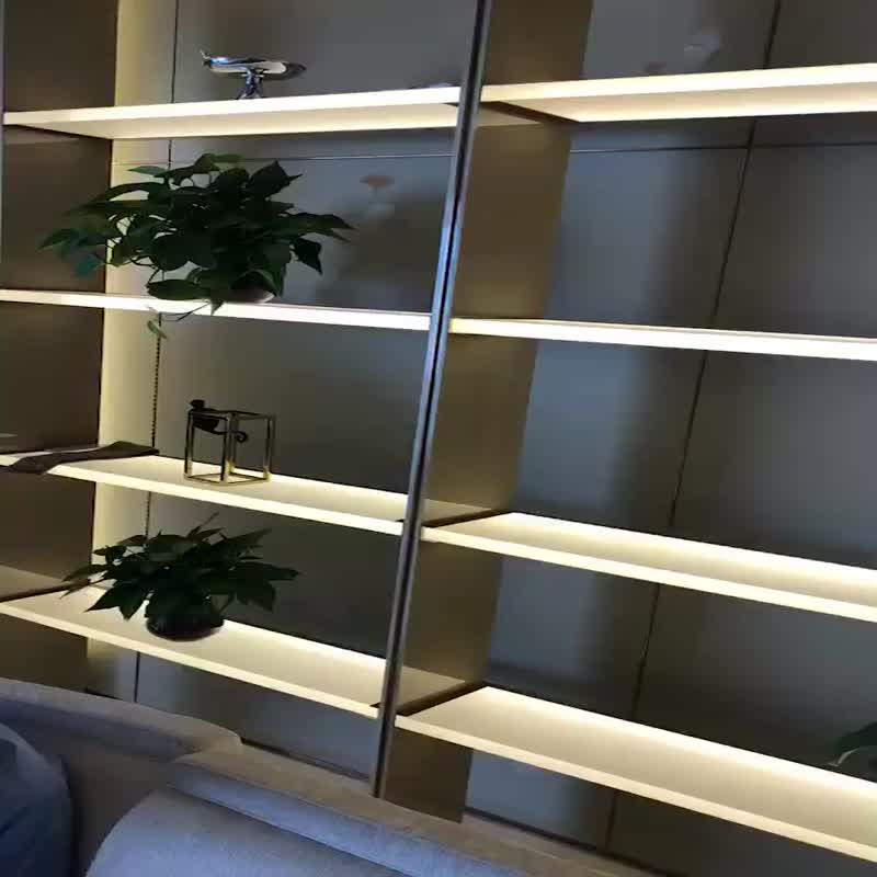 Transtones Decorated Acrylic Bathroom Partition Sheet