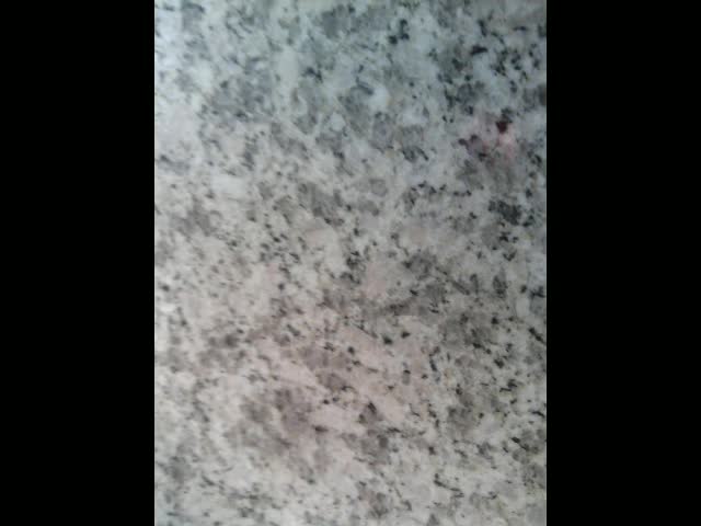 G355 Granite,Pingdu White Granite Tiles & Slabs