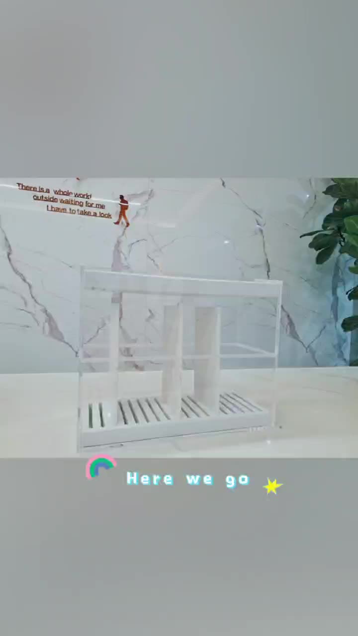 Acrylic Dispaly Stand