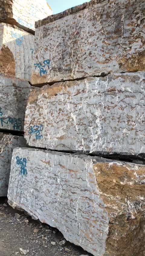 Michelangelo Black Gold Marble Blocks
