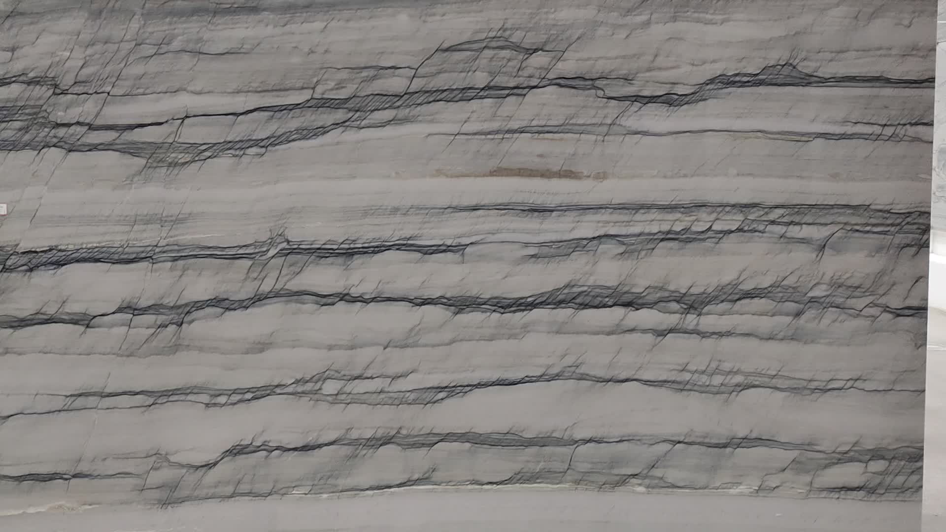 Brazil Everglades Grey Quartzite Slabs