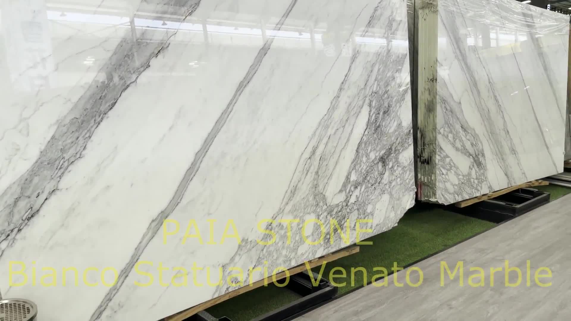 Polished Italian Bianco Statuario Venato Snow White Marble