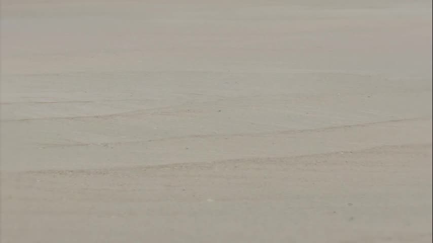 Nazca Quartzite Slabs