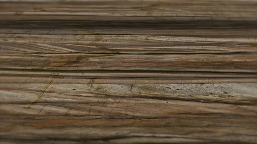 Sandalus Quartzite Slabs