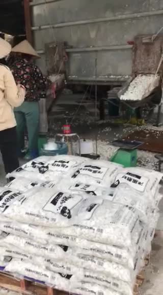 Natural Tumbled Snow White Pebble Stone Factory Price