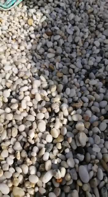 Marble Mixed Pebble Stone, River Washed Pebble Stones