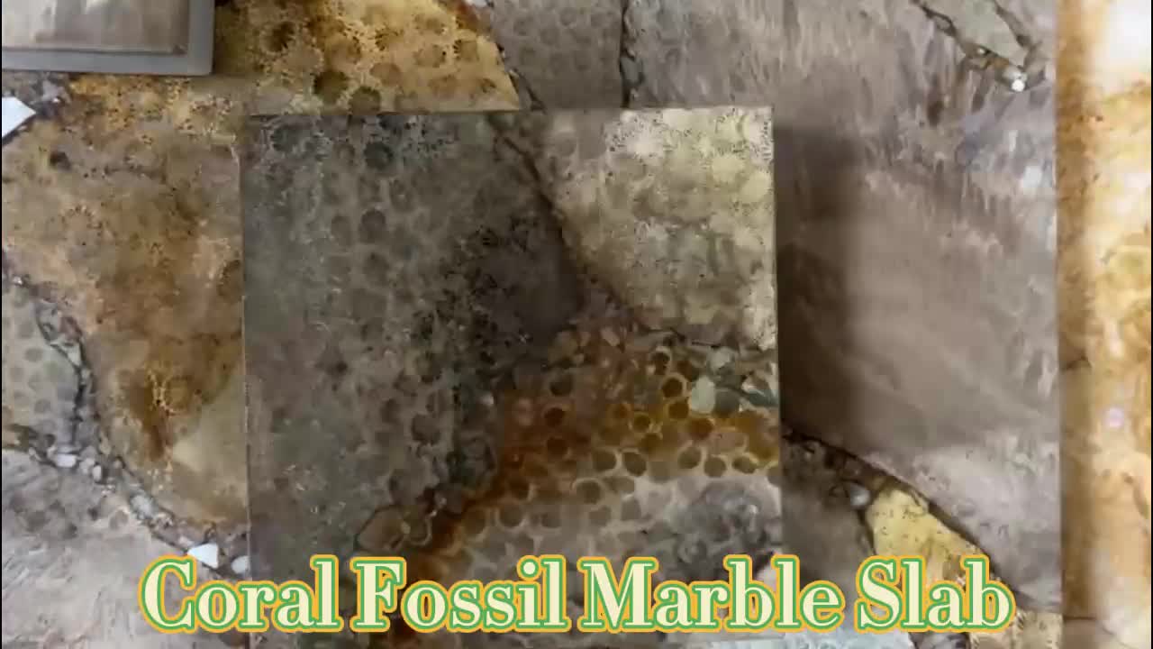 Decoration Coral Semi Precious Stone
