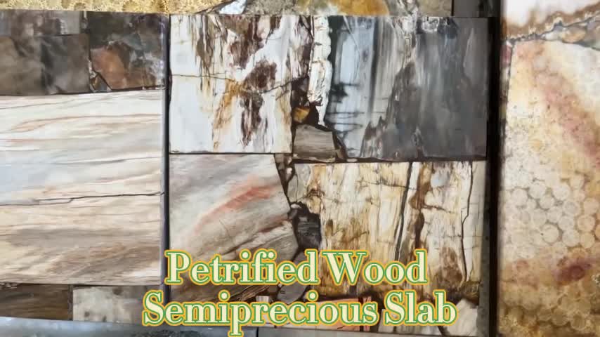 Wall Decoration Petrified Wood Semiprecious Slab Stone