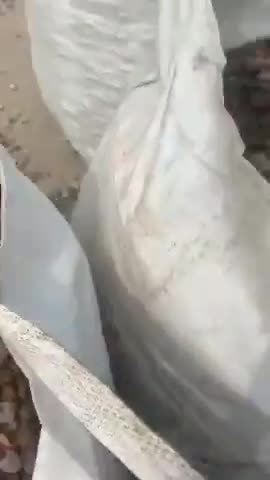 China Orignal Unpolished Grey River Stone Pebbles