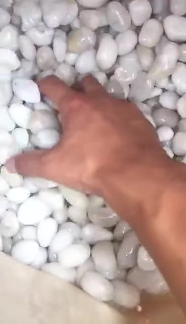 Garden Decorative 3-5Cm High Polished White Pebble Stone