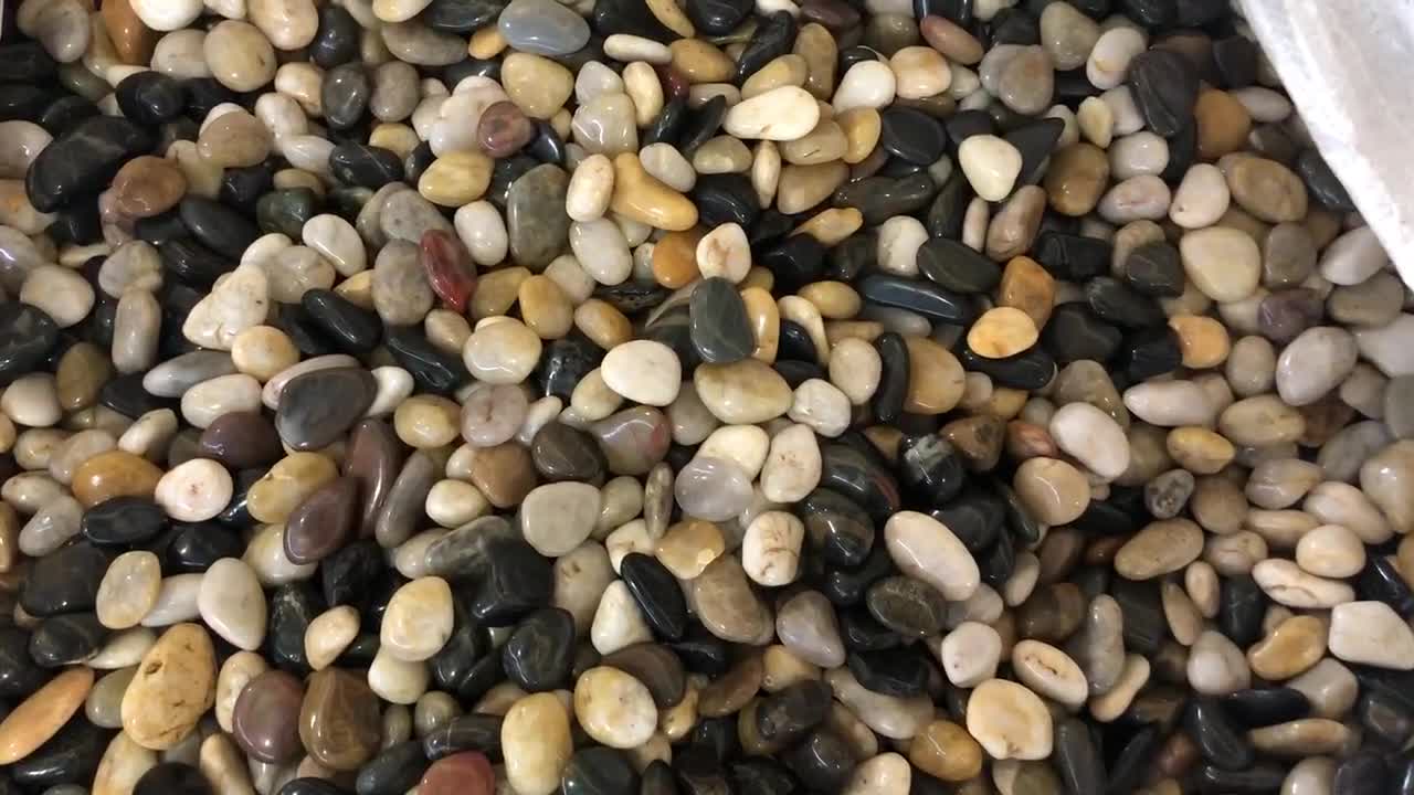 Mix Color Natural River Stone Pebbles