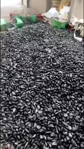 Polished Black Pebbles,Gravels And Riverstone