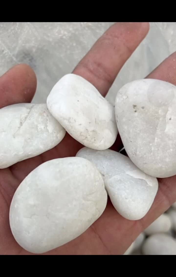High Gloss White Walkway Washed Pebble Stone