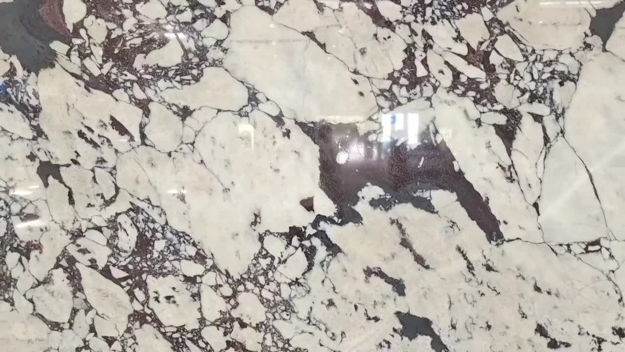 Calacatta Viola Marble_Aries