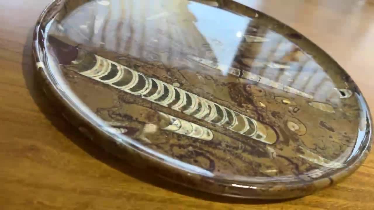 Brown Fossil Marble Serving Plates Tea Trays Utensil