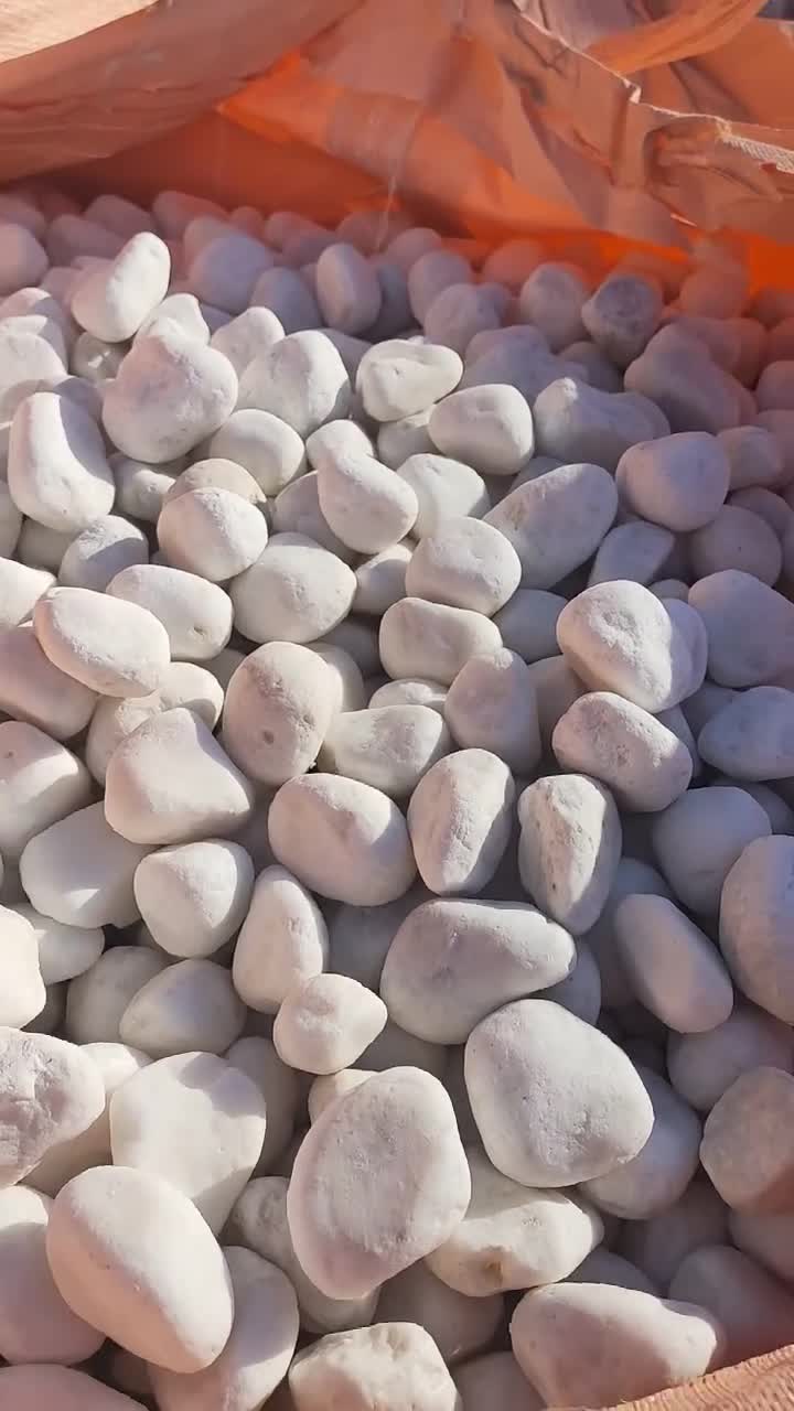 Wholesale Snow White Pebble Garden  Pebble Stone
